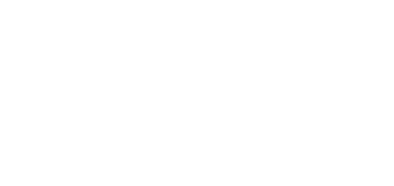 dataiso-logo-blanc-footer